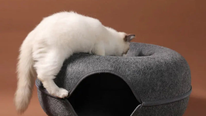Donut Cat Bed for 2 Cats Pet Cat Tunnel Toys Kitten House Basket Interactive Play Toys for Cats Natural Felt Rabbit Cave Nest